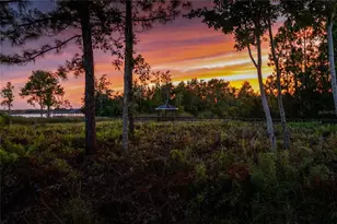 2016 Castelli Blvd, Mount Dora, FL 32757 - Photo 42