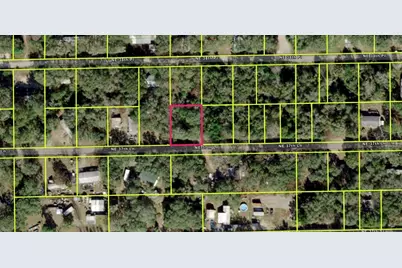 17185 NE 37th Lane, Silver Springs, FL 34488 - Photo 2