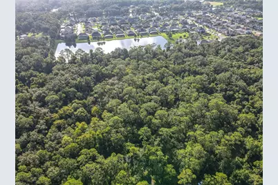 Panther Road, Oviedo, FL 32765 - Photo 12