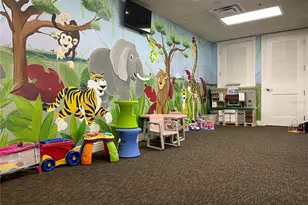 4847 Havilland Dr, Mount Dora, FL 32757 - Photo 54