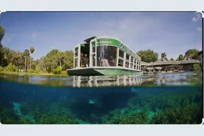 2953 NE 104th Avenue, Silver Springs, FL 34488 - Photo 42