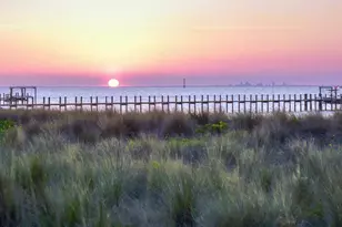 8 Bud Hollow Dr, Palm Coast, FL 32137 - Photo 40