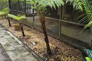 8023 St Andrews Way, Mount Dora, FL 32757 - Photo 28