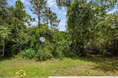 4587 Lacebark Trail, Oviedo, FL 32765 - Photo 38