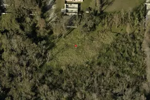 Blossom Ave, Tampa, FL 33614 - Photo 1