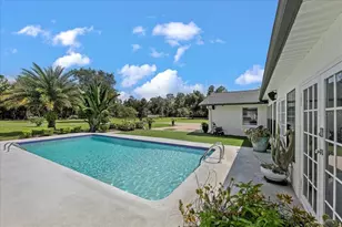 1 Cunningham Ln, Debary, FL 32713 - Photo 56