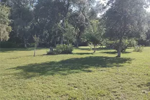 11360 SE 188th Ave, Ocklawaha, FL 32179 - Photo 38