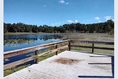 11360 SE 188th Avenue, Ocklawaha, FL 32179 - Photo 52