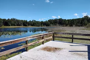 11360 SE 188th Ave, Ocklawaha, FL 32179 - Photo 52