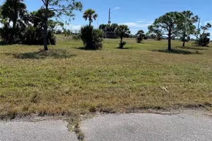 14253 Pompano Ct, Placida, FL 33946 - Photo 1
