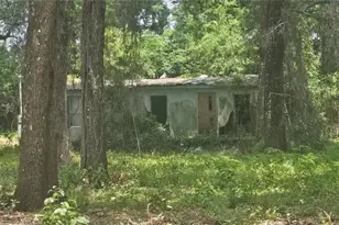 17693 SE 30th Ave, Summerfield, FL 34491 - Photo 2