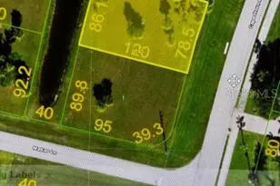 16317 Cape Horn Blvd, Punta Gorda, FL 33955 - Photo 1