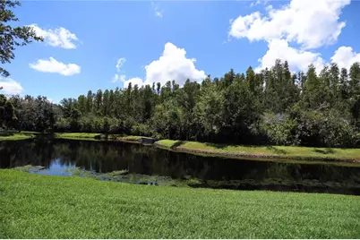 10206 Shadow Branch Drive, Tampa, FL 33647 - Photo 40