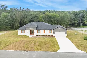 36473 Piney Ridge Blvd, Fruitland Park, FL 34731 - Photo 2