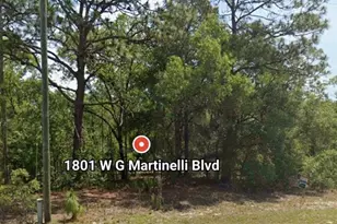 W G Martinelli Blvd, Citrus Springs, FL 34434 - Photo 1