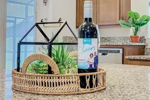 210 Tomelloso Way, Davenport, FL 33837 - Photo 10