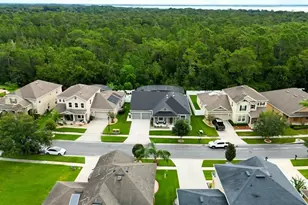 2651 Marshfield Preserve Way, Kissimmee, FL 34746 - Photo 2