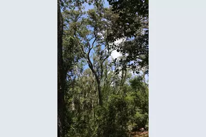 129th Boulevard, Webster, FL 33597 - Photo 4