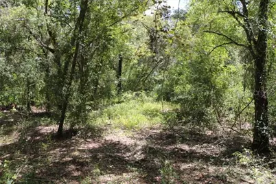 129th Boulevard, Webster, FL 33597 - Photo 24