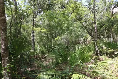 129th Boulevard, Webster, FL 33597 - Photo 12