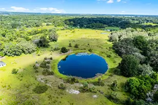 7466 Vivian Ln, Orlando, FL 32818 - Photo 4