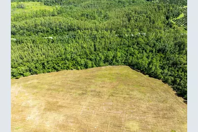 Deen Still Road, Polk City, FL 33868 - Photo 6