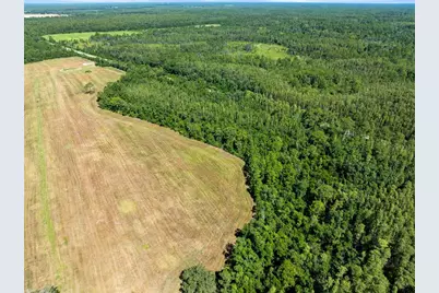 Deen Still Road, Polk City, FL 33868 - Photo 8