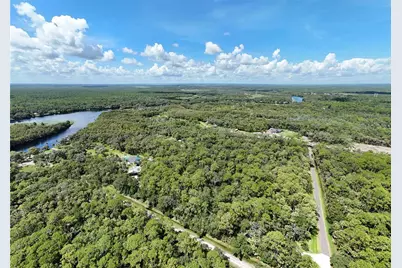 1215 Tall Pines Drive, Osteen, FL 32764 - Photo 6