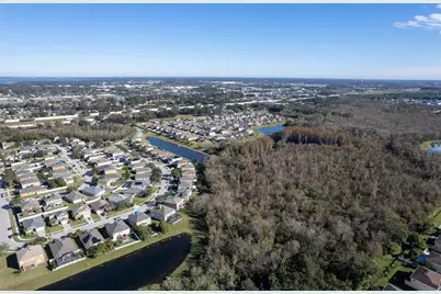 207 Black Springs Lane, Winter Garden, FL 34787 - Photo 54