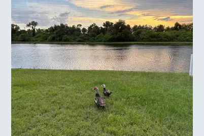 12937 Bridleford Drive, Gibsonton, FL 33534 - Photo 48