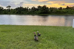 12937 Bridleford Dr, Gibsonton, FL 33534 - Photo 48