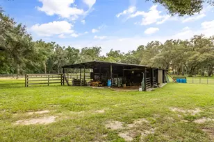 32530 Senese Rd, Sorrento, FL 32776 - Photo 28