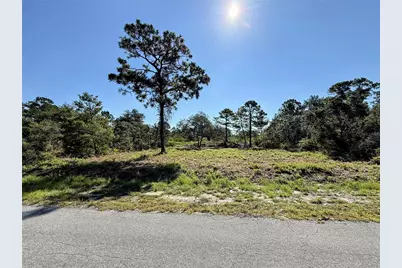 0 Malauka Pass, Ocklawaha, FL 32179 - Photo 1