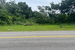 E Cleveland Street E, Apopka, FL 32703 - Photo 1