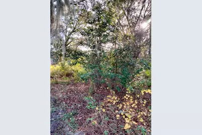 Sheeler Oaks Drive, Apopka, FL 32703 - Photo 4