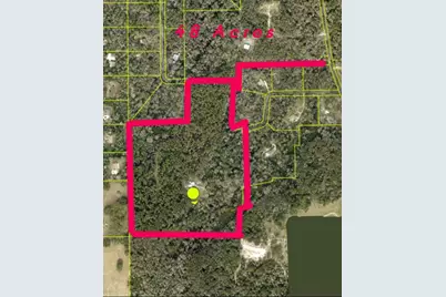 24050 Winding Creek Drive, Brooksville, FL 34601 - Photo 2