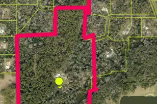 24050 Winding Creek Dr, Brooksville, FL 34601 - Photo 2