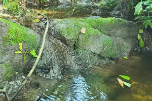 24050 Winding Creek Dr, Brooksville, FL 34601 - Photo 36