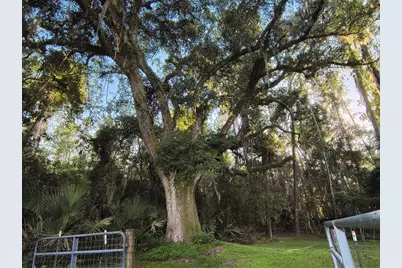 24050 Winding Creek Drive, Brooksville, FL 34601 - Photo 10