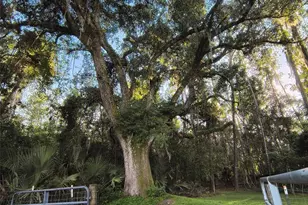 24050 Winding Creek Dr, Brooksville, FL 34601 - Photo 10