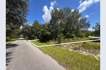 Malauka Track, Ocklawaha, FL 32179 - Photo 8