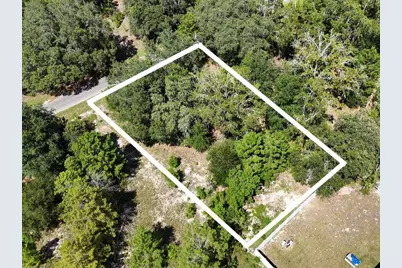 Malauka Track, Ocklawaha, FL 32179 - Photo 4