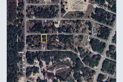 Malauka Track, Ocklawaha, FL 32179 - Photo 12