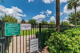 10624 Reams Rd, Windermere, FL 34786 - Photo 46