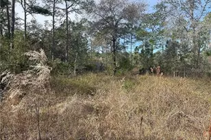 11381 S Rosewater Point, Homosassa, FL 34446 - Photo 2