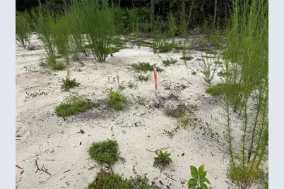 106 Jackson Avenue, Interlachen, FL 32148 - Photo 8