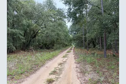 106 Jackson Avenue, Interlachen, FL 32148 - Photo 14