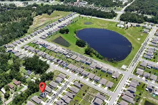 6780 Coral Berry Dr, Mount Dora, FL 32757 - Photo 42