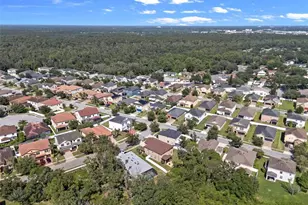 2414 Bartolo Dr, Land O Lakes, FL 34639 - Photo 54