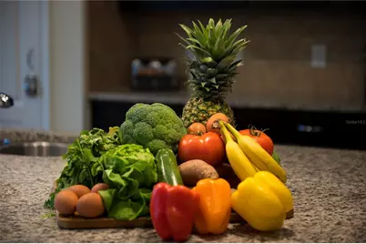 5525 Misty Oak Circle, Davenport, FL 33837 - Photo 22